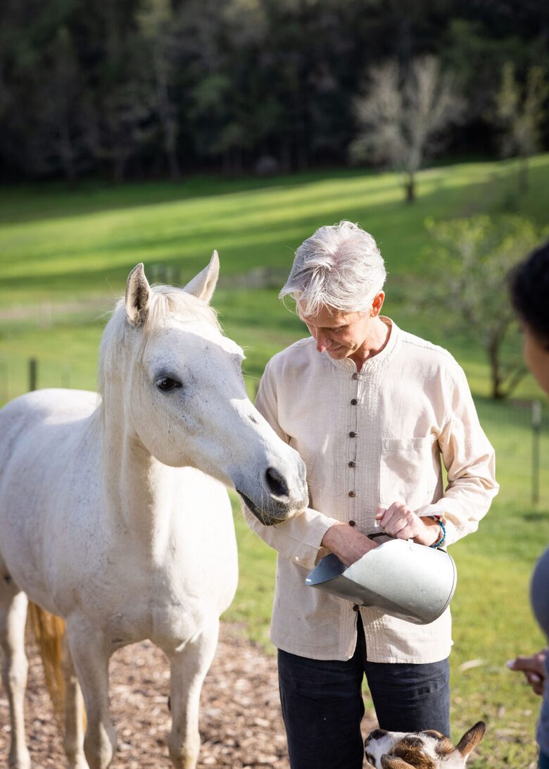 NewTree Ranch | Where Nature Meets Ultra-Luxury - Healdsburg, California