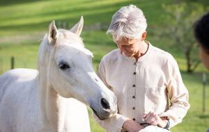 NewTree Ranch | Where Nature Meets Ultra-Luxury - Healdsburg, California