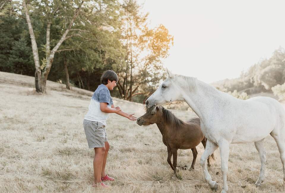 NewTree Ranch | Where Nature Meets Ultra-Luxury - Healdsburg, California