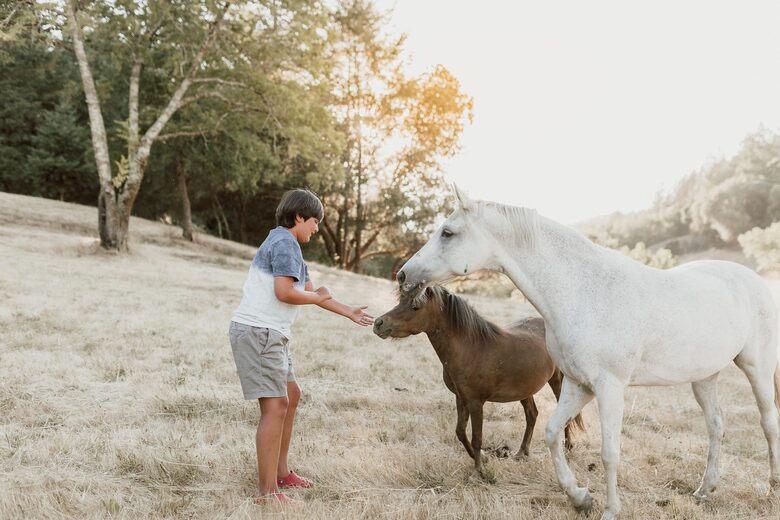 NewTree Ranch | Where Nature Meets Ultra-Luxury - Healdsburg, California