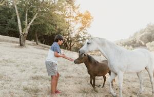 NewTree Ranch | Where Nature Meets Ultra-Luxury - Healdsburg, California