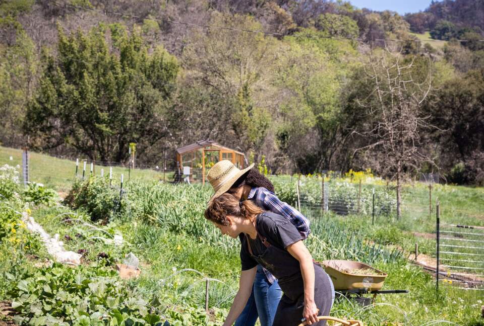 NewTree Ranch | Where Nature Meets Ultra-Luxury - Healdsburg, California