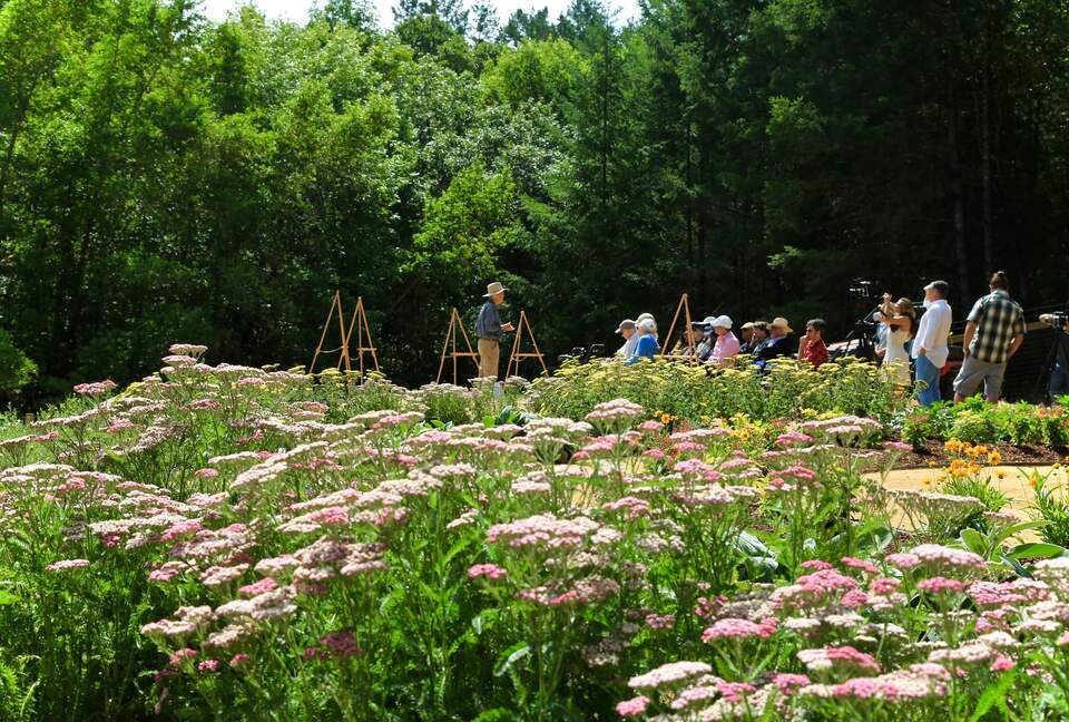 NewTree Ranch | Where Nature Meets Ultra-Luxury - Healdsburg, California