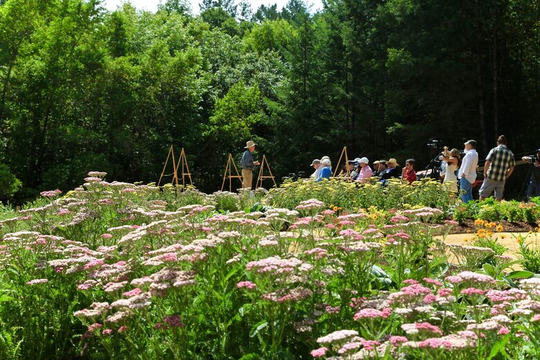 NewTree Ranch | Where Nature Meets Ultra-Luxury - Healdsburg, California