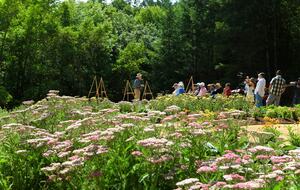 NewTree Ranch | Where Nature Meets Ultra-Luxury - Healdsburg, California