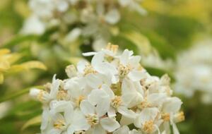 NewTree Ranch | Where Nature Meets Ultra-Luxury - Healdsburg, California