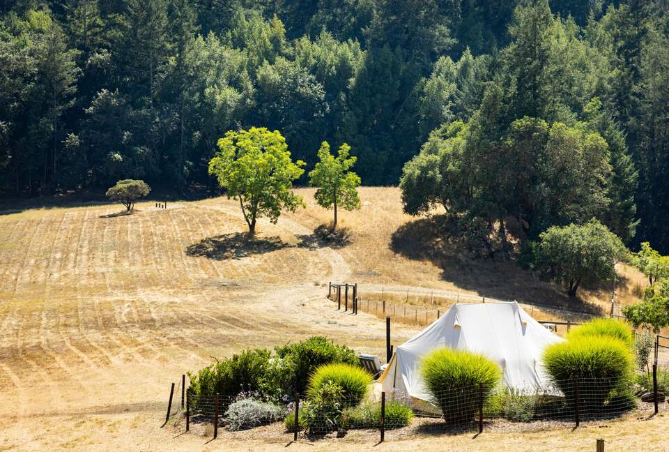 NewTree Ranch | Where Nature Meets Ultra-Luxury - Healdsburg, California