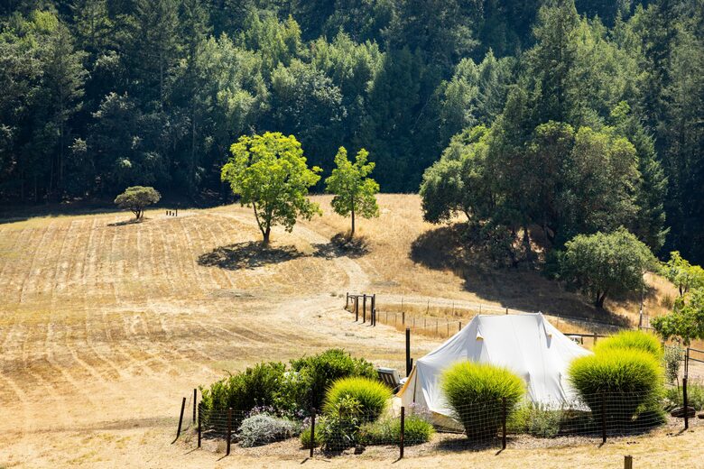 NewTree Ranch | Where Nature Meets Ultra-Luxury - Healdsburg, California