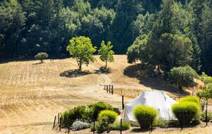 NewTree Ranch | Where Nature Meets Ultra-Luxury - Healdsburg, California