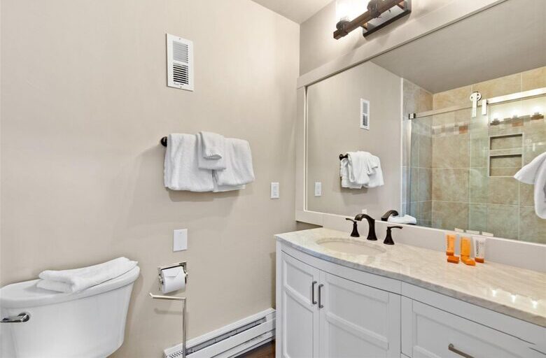 Greenbelt Haven in the Heart of Breckenridge - Breckenridge, Colorado