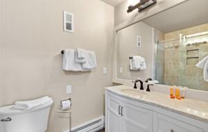 Greenbelt Haven in the Heart of Breckenridge - Breckenridge, Colorado