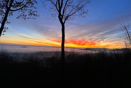 Mountain Majesty at Frog Summit - Blue Ridge, Georgia