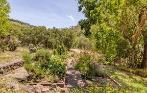 Hilltop Wine Country Estate with Pool & Views - Sonoma, California