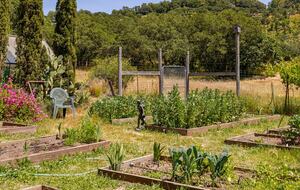 Hilltop Wine Country Estate with Pool & Views - Sonoma, California