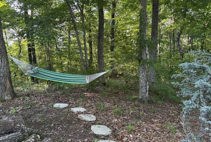 Mountain Majesty at Frog Summit - Blue Ridge, Georgia