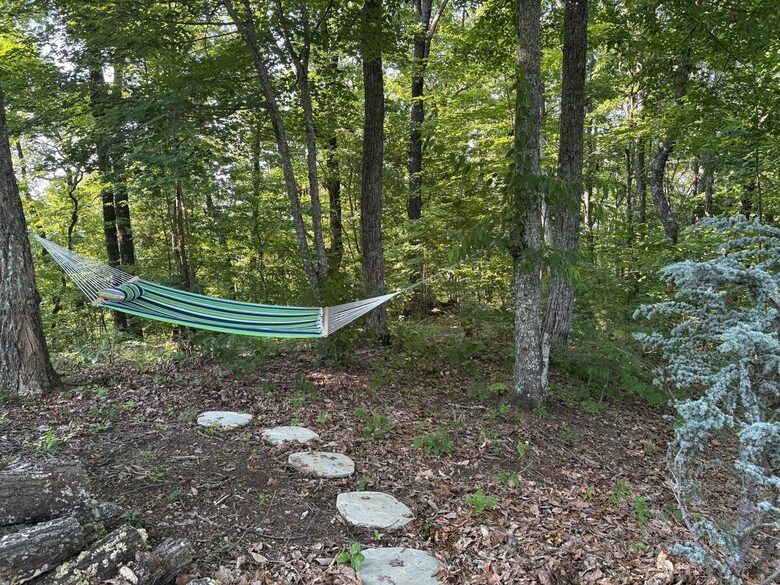 Mountain Majesty at Frog Summit - Blue Ridge, Georgia