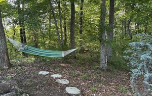 Mountain Majesty at Frog Summit - Blue Ridge, Georgia