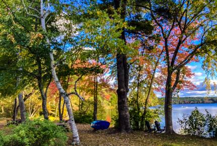 View from the cottage, to a shady spot for reading