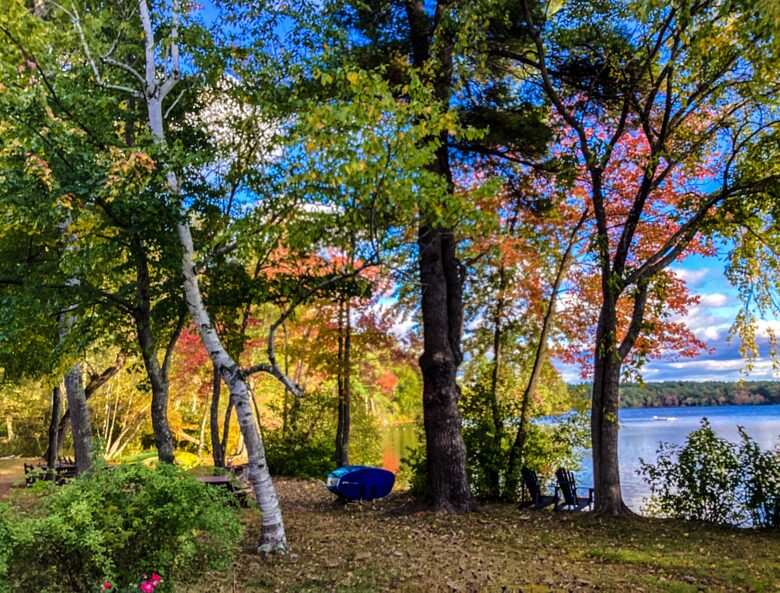 View from the cottage, to a shady spot for reading