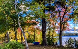 View from the cottage, to a shady spot for reading