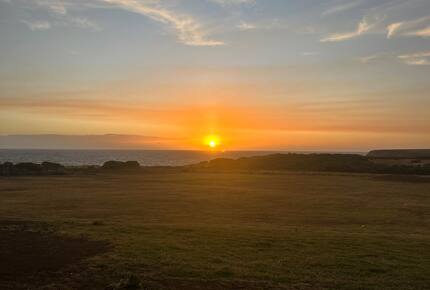 Elegant Beachfront Sanctuary with Sauna & Cold Plunge - Ventnor, Australia
