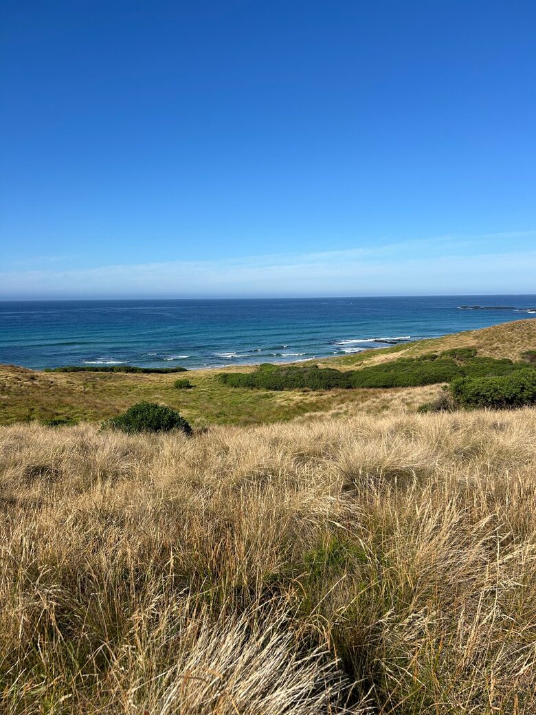 Elegant Beachfront Sanctuary with Sauna & Cold Plunge - Ventnor, Australia