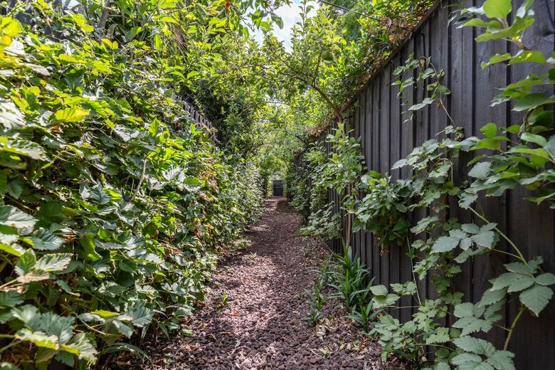 Architectural Elegance in the Heart of Hawthorn - Hawthorn, Australia