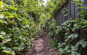 Architectural Elegance in the Heart of Hawthorn - Hawthorn, Australia