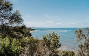Architect’s Bushland Haven near Shoreham Beach - Shoreham, Australia