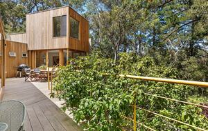 Architect’s Bushland Haven near Shoreham Beach - Shoreham, Australia
