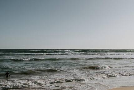 Architect’s Bushland Haven near Shoreham Beach - Shoreham, Australia