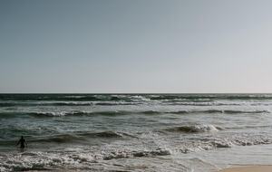 Architect’s Bushland Haven near Shoreham Beach - Shoreham, Australia