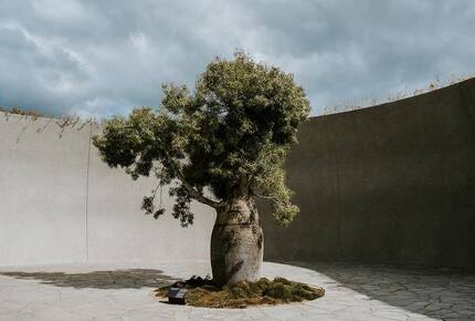 Architect’s Bushland Haven near Shoreham Beach - Shoreham, Australia