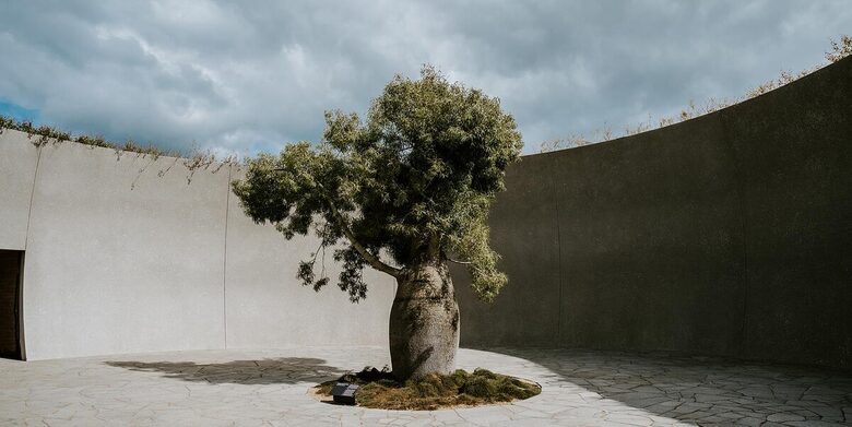 Architect’s Bushland Haven near Shoreham Beach - Shoreham, Australia