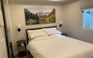 Elegant Aspen Escape Near Gondola - Aspen, Colorado