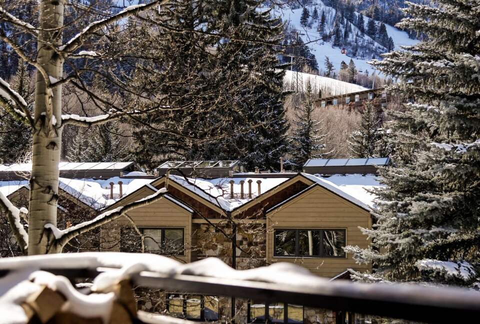 Elegant Aspen Escape Near Gondola - Aspen, Colorado
