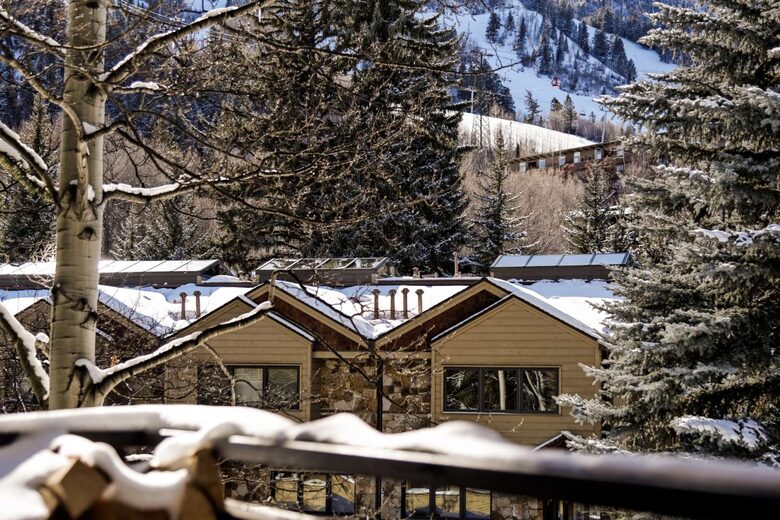 Elegant Aspen Escape Near Gondola - Aspen, Colorado