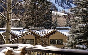 Elegant Aspen Escape Near Gondola - Aspen, Colorado