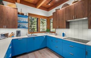 Alpine Elegance | Ski-In Mountain Condo in Snowmass Village - Snowmass, Colorado