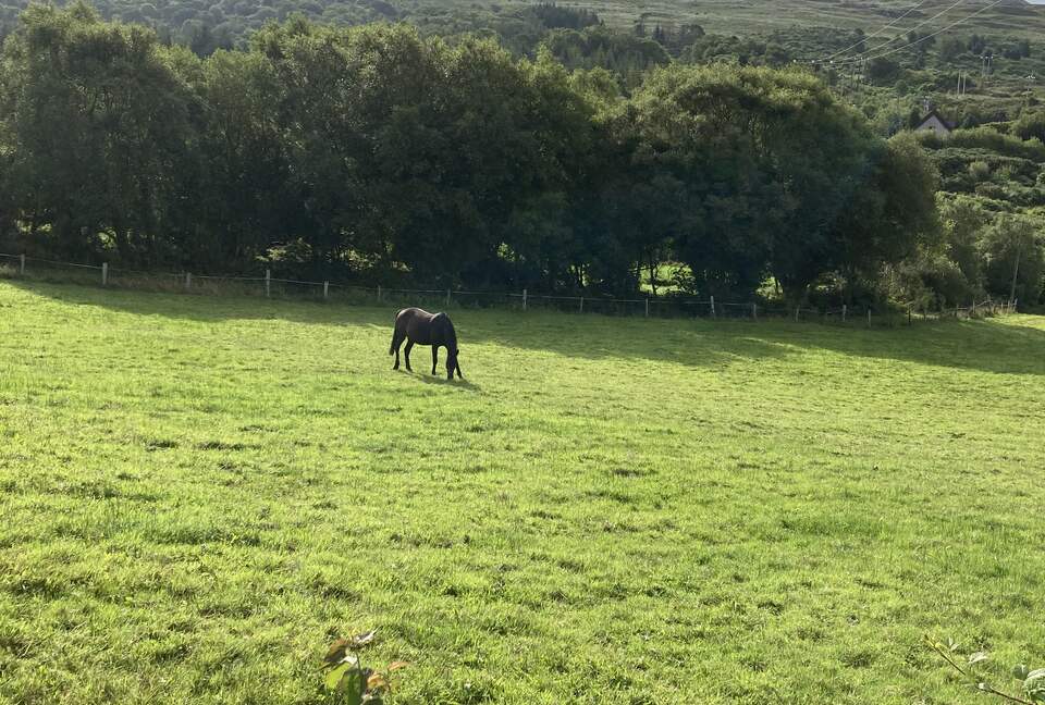 A Stone Cottage Amidst Rolling Hills - Glengarriff, Ireland