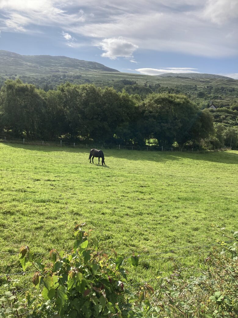 A Stone Cottage Amidst Rolling Hills - Glengarriff, Ireland