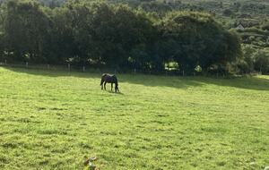 A Stone Cottage Amidst Rolling Hills - Glengarriff, Ireland