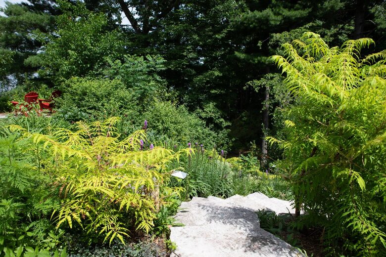 Luxury Lakehouse on Lake Wissota - Chippewa Falls, Wisconsin