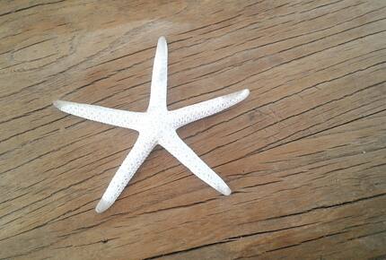 Coastal Retreat Steps from Matapouri Beach - Matapouri, New Zealand