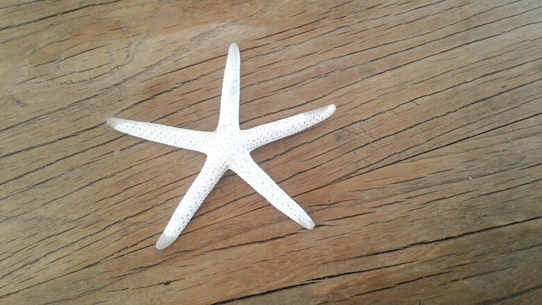 Coastal Retreat Steps from Matapouri Beach - Matapouri, New Zealand