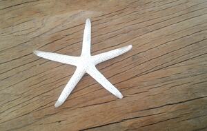 Coastal Retreat Steps from Matapouri Beach - Matapouri, New Zealand