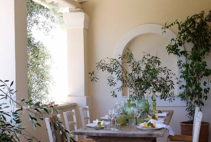 Peaceful, Private Villa set in Olive Groves - Corfu, Greece