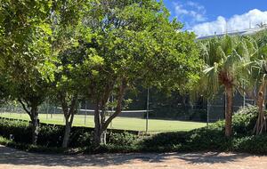 Beachfront Sanctuary at Sunshine Beach - Sunshine Coast, Australia