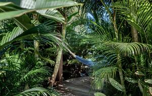 Exquisite Hideaway near Hastings Street - Noosa Heads, Australia