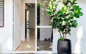 Exquisite Hideaway near Hastings Street - Noosa Heads, Australia